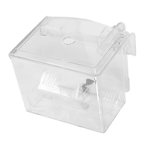 TOYANDONA 1 Stück Aquarium Isolationsbox mit Pneumatischer Belüftung Zuchtkasten für Fische Aufzuchtbecken für Jungfische Transparent Hängendes Design für Gesunde Aufzucht und Beobachtung TOYANDONA 1 Stück Aquarium Isolationsbox mit Pneumatischer Belüftung Zuchtkasten für Fische Aufzuchtbecken für Jungfische Transparent Hängendes Design für Gesunde Aufzucht und Beobachtung von TOYANDONA