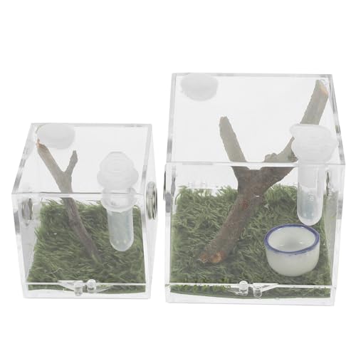 TOYANDONA 2Stücke Transparente Brutkästen für Springspinnen Insektenbox mit Futteröffnung Atmungsaktives Design für Haltung und Pflege von Spinnen Großes TOYANDONA 2Stücke Transparente Brutkästen für Springspinnen Insektenbox mit Futteröffnung Atmungsaktives Design für Haltung und Pflege von Spinnen Großes von TOYANDONA