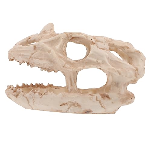 TOYANDONA Dinosaurier Schädel Aquarium Dekoration Resin Versteck für Fische und Reptilien für Aquarienlandschaften Große Horn Dinosaurier Form Langlebig und Realistisch TOYANDONA Dinosaurier Schädel Aquarium Dekoration Resin Versteck für Fische und Reptilien für Aquarienlandschaften Große Horn Dinosaurier Form Langlebig und Realistisch von TOYANDONA