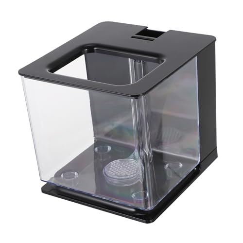 TOYANDONA Kleiner Transparenter Aquarienbehälter Praktischer Fischzuchtbehälter aus für Aufzucht von Fischen Dekoration für Zuhause TOYANDONA Kleiner Transparenter Aquarienbehälter Praktischer Fischzuchtbehälter aus für Aufzucht von Fischen Dekoration für Zuhause von TOYANDONA