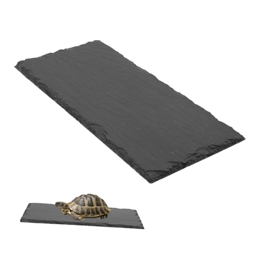 TOYANDONA Schiefermatte Schildkrötenfütterung Platte Schildkrötenfelsen Schildkrötenfutter für Reptilien Eidechsenfutterbecken Eidechsenfutterteller dekorativer Futterteller Grau TOYANDONA Schiefermatte Schildkrötenfütterung Platte Schildkrötenfelsen Schildkrötenfutter für Reptilien Eidechsenfutterbecken Eidechsenfutterteller dekorativer Futterteller Grau von TOYANDONA