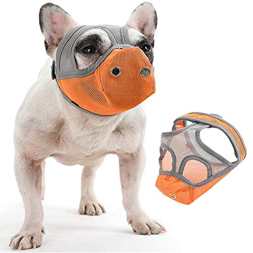 TOYHEART Hundemündung Verhindern Sie Das Beißen, Kurze Schnauze Hundegesichtsabdeckung Bulldogge Einstellbare Atmungsaktive Mesh Anti-Biting Barking Training Hundeversorgung Orange Groß von TOYHEART