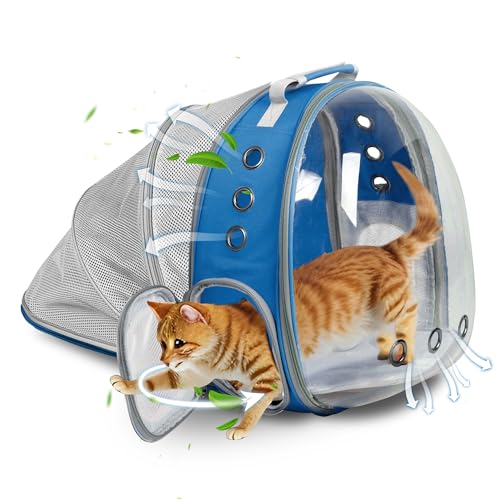 TOYSINTHEBOX Katzen-Rucksack, erweiterbar, faltbar, atmungsaktiv, Haustier-Tragetasche, Hundetragerucksack für große große Katzen, Wandern, Reisen, Camping (blau) von TOYSINTHEBOX