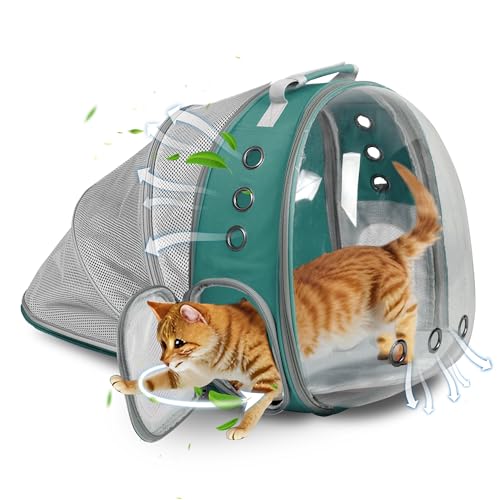 TOYSINTHEBOX Katzen-Rucksack, erweiterbar, faltbar, atmungsaktiv, Haustier-Tragetasche, Hundetragerucksack für große große Katzen, Wandern, Reisen, Camping (grün) von TOYSINTHEBOX