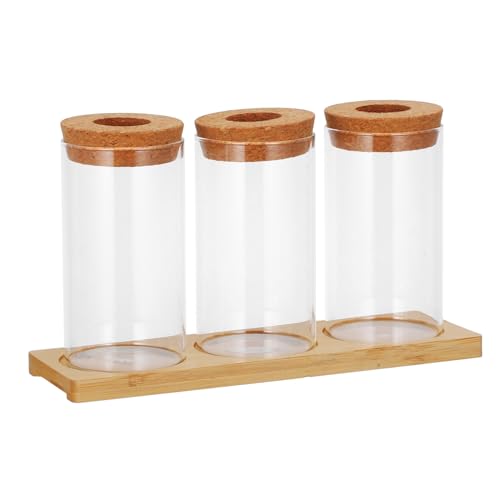 TOYZFRIENDY Satz Hydro Ponische Pflanzen Flasche Pflanzenvermehrungsgläser Vermehrungsvase Pflanzgefäß Für Vermehrungsstationen Terrarienpflanzer Pflanzterrarien Monstertopf Transparent Glas von TOYZFRIENDY