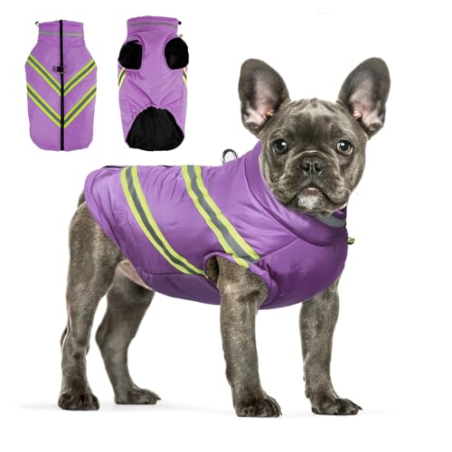 TQFlow Hundemantel Wasserdichter, Reflektierende Hundejacke mit Geschirr, Winddichte Warme Winterweste für Kleine Mittelgroße Welpen Hunde, Hundepullover für Kaltes Wetter Haustier Kleidung (L) von TQFlow