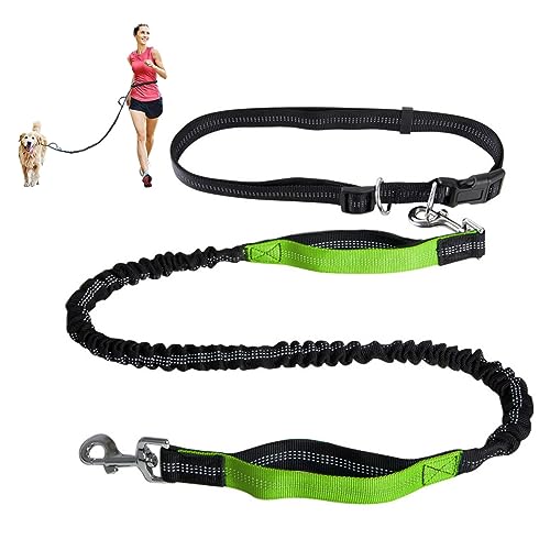 Freihändige Hundeleine, Verstellbarer Taillengurt Und Einziehbare Bungee-Leine Mit Zwei Griffen, Jogging-Hundeleine Mit Reflektierenden Ziernähten (Color : Green) von TQQEPOOL