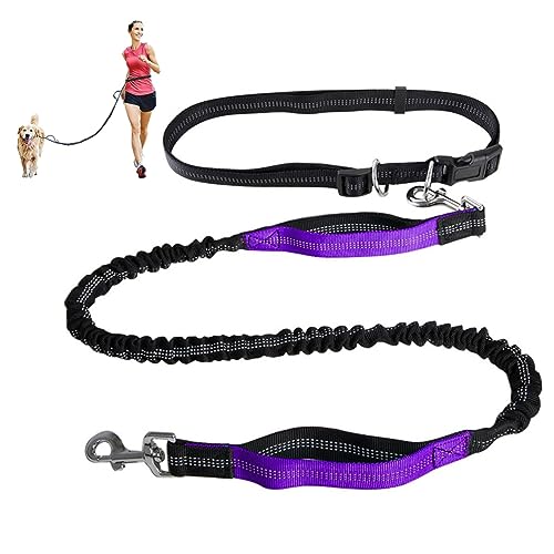 Freihändige Hundeleine, Verstellbarer Taillengurt Und Einziehbare Bungee-Leine Mit Zwei Griffen, Jogging-Hundeleine Mit Reflektierenden Ziernähten (Color : Purple) von TQQEPOOL