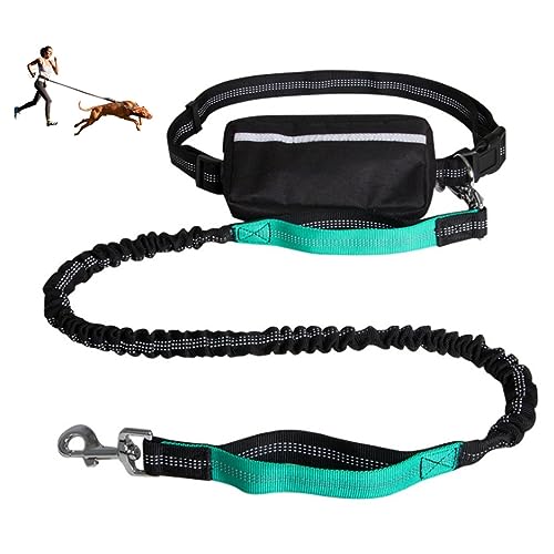 Freihändige Hundeleine,Gürtel Zum Gassi Gehen Für Mittlere Und Große Hunde,Verstellbarer Gürtel Mit Tasche,Reflektierende Nähte Zum Laufen,Walken Und Joggen (Color : Lake Blue) von TQQEPOOL