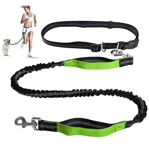 Freihändige Hundeleine,Verstellbarer Taillengurt Und Aufrollbare Bungee-Leine Mit Zwei Griffen,Jogging-Hundeleine Mit Reflektierenden Nähten (Color : Green) von TQQEPOOL