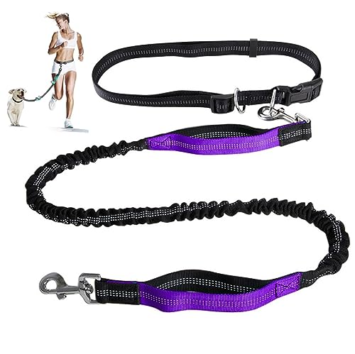 Freihändige Hundeleine,Verstellbarer Taillengurt Und Aufrollbare Bungee-Leine Mit Zwei Griffen,Jogging-Hundeleine Mit Reflektierenden Nähten (Color : Purple) von TQQEPOOL