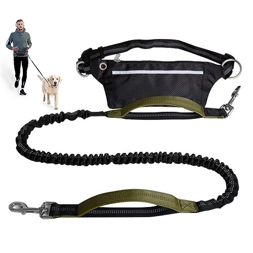 Freihändige Hundeleine Mit Reißverschlusstasche,Zwei Gepolsterten Griffen Und Strapazierfähigem Bungee Zum Spazierengehen,Joggen Und Laufen Mit Ihrem Hund (Color : Green) von TQQEPOOL