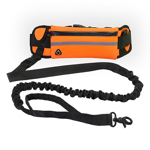 Freihändige Hundeleine Zum Laufen, Gehen, Trainieren, Wandern, Verstellbarer Gürtel Und Tasche, Ideal Für Mittelgroße Bis Große Hunde (Color : Orange) von TQQEPOOL