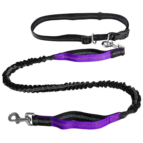 Hände Frei Hundeleine for Spaziergänge,Laufen,Wandern,Dual-Handle Kontrollierbare Taktische Ausbildung Hundeleine,Stoßdämpfende Gürtel Hundeleine (Color : Purple) von TQQEPOOL