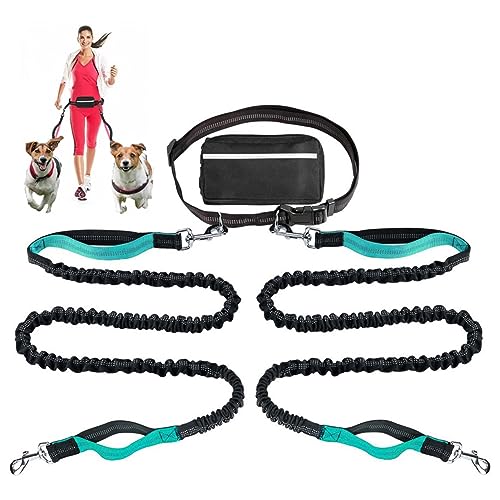 Retractable Hände Frei Hundeleine Mit Dual Bungees Für 2 Hunde, Verstellbare Gürtel Gürteltasche Für Running Walking Wandern Jogging Biking (Color : Lake Blue) von TQQEPOOL