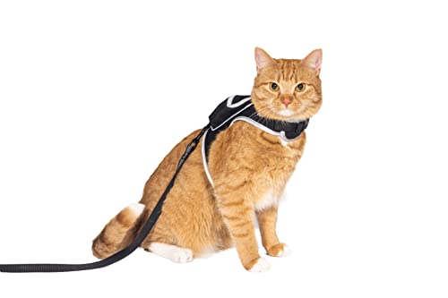 Travel Cat & Streunendes Katzengeschirr und Leine, verstellbares Katzengeschirr mit Klettverschluss und Starke Nylon-Leine, bequemes, ausbruchsicheres Geschirr für Katzen, Kätzchen, für Spaziergänge von TRAVEL CAT