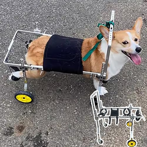 Hunderollstuhl Hunderollstuhl für Hinterbeine, Kleine, Mittelgroße und Große Hunde, 4 Räder, Metallhaustier-Rehabilitationswagen zur Hüftunterstützung, Lähmung Hund Beinstütze Auto ( Size : Size S ) von TREGOO