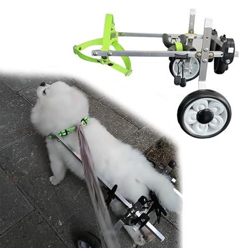 TREGOO Hunderollstuhl 2-Räder-Rollstuhl für Kleine und Kleine Hunde, Amputations-Hundemobilitätshilfe, Geeignet für Verschiedene Gelände, Beinstütze und Hüftstütze für Hunde (Size : Size XS), 78634 von TREGOO