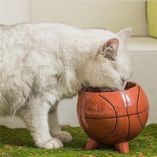 Erhöhte Keramik-Katzennäpfe für Indoor-Katzen, erhöhter Katzenfutternapf für Futter und Wasser, Schnurrhaarfreundlich, geneigter Katzennapf für flache Katzen, Kätzchen, Katzen-Futternäpfe, von TRENBADER
