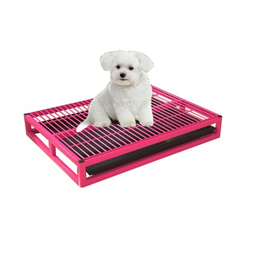 Hundetoilette Hundetöpfchen, Katzentoilette Töpfchentablett für kleine Hunde Haustier Toiletten Trainings Töpfchen (52cm/20.4in,Rose red) von TRGCJGH