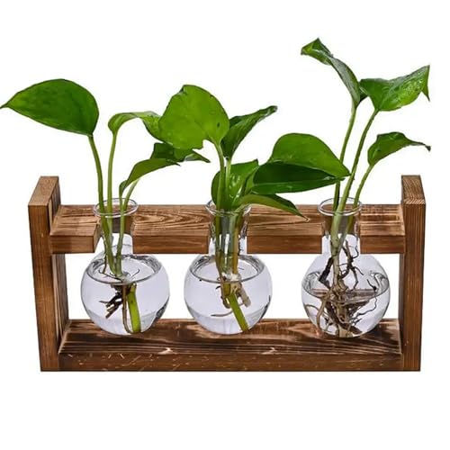 TRIXES 3-teiliges Zwiebel-Anzuchtsystem - Blumen Terrarium Glas Pflanzgefäß - Holzregal Halter - Indoor - 3 Reagenzgläser von TRIXES