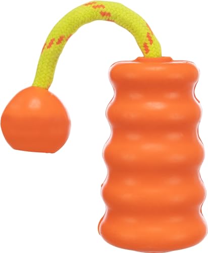 Dog Activity Mot-Fun, schwimmt, 9 cm/22 cm von TRIXIE