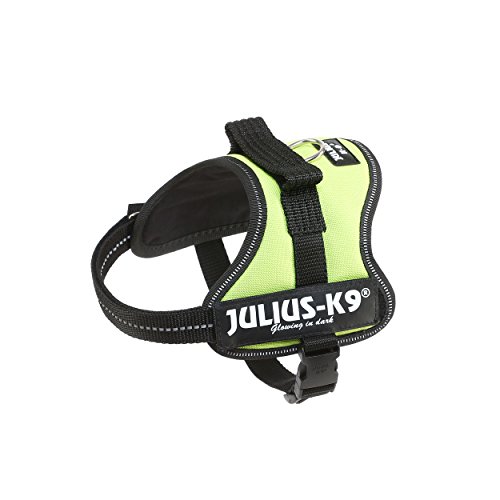 Trixie Julius-K9 Powergeschirr Gr.Mini-Mini (XS) neon, schwarz von JULIUS K-9