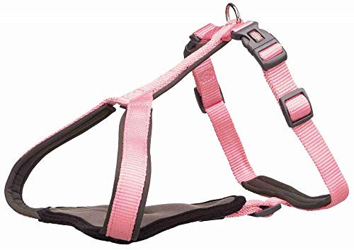 Trixie 1998820 Harness Y, L-XL: 80-95 cm/25 mm, Orchidee, L von TRIXIE