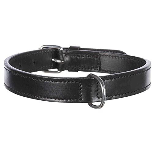 TRIXIE Active Halsband Leder Größe L: Halsumfang 47–54 cm/25 mm in schwarz - stilvolles Lederhalsband für große Hunde, genäht und unterfüttert, 18261 von TRIXIE