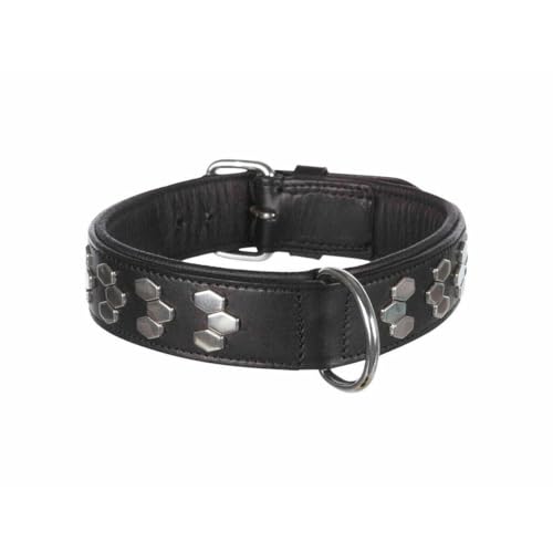 TRIXIE Active Halsband mit Nieten, Multi, L-XL, 4011905018393 von TRIXIE