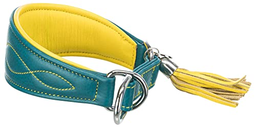 TRIXIE Active Komfort Windhunde Halsband Größe S: Halsumfang 27-35 cm/55 mm in Petrol - extra breites Hundehalsband für kleine Hunde, schützt den Kehlbereich, unterfüttert, 18967 von TRIXIE