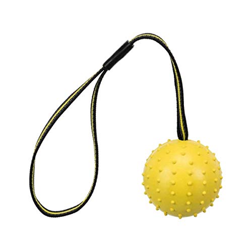 Trixie Ball mit Gurt Sporting aus Naturkautschuk – Durchmesser 6 cm – 35 cm – für Hunde von TRIXIE