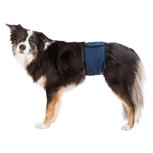 TRIXIE Bauchband für männliche Hunde, XL: 65-75 cm von TRIXIE