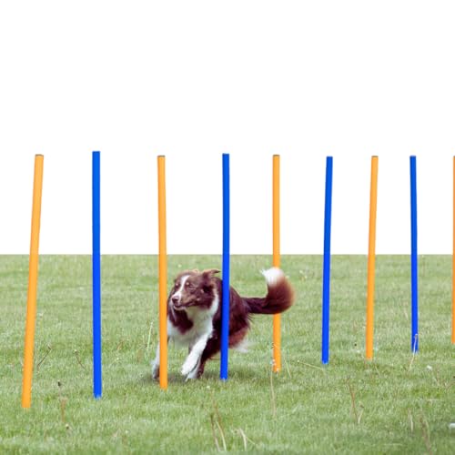 TRIXIE Hunde Agility Set Slalom mit 12 Slalom-Stangen – ideal für das Hunde Agility Training für Anfänger & Fortgeschrittene - Hunde-Agility Ausrüstung für Hunde-Hindernisparcours - 3206 von TRIXIE