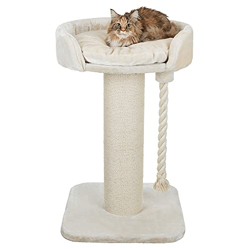 TRIXIE Kratzbaum XXL Klara 100 cm in creme – robuster Katzenbaum für große Katzen mit einer gemütlichen, erhöhten Liegefläche, komfortabel & stabil – 44677 von TRIXIE