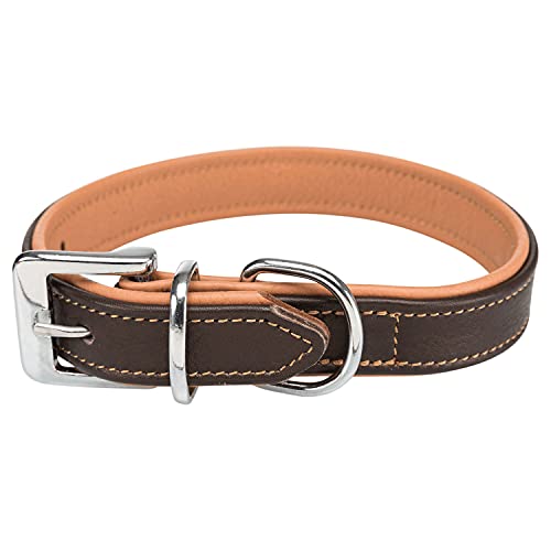 Trixie Active Comfort Halsband, S: 31-37 cm/25 mm, braun/Hellbraun, Hund, 18935 von TRIXIE