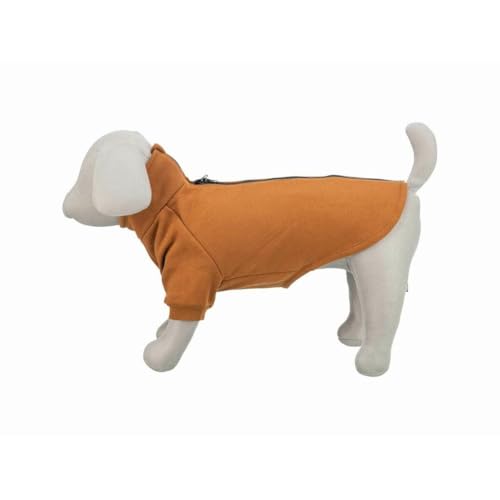 Trixie citystyle Hunde Pullover Sweatshirt Amsterdam rost von TRIXIE