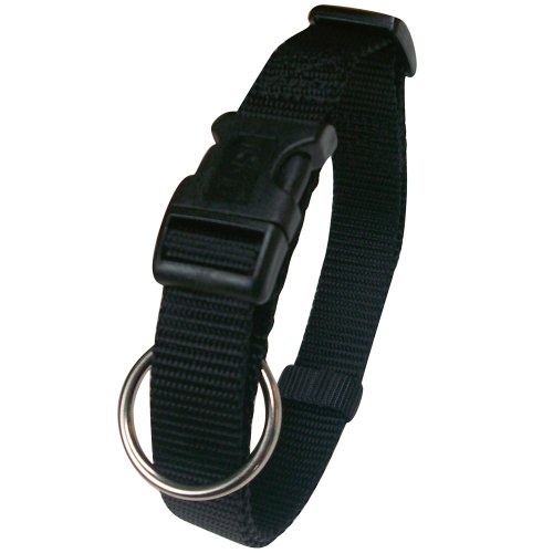 Trixie TX-14221 Classic Collar 35-55cm/20mm Black m-l von TRIXIE