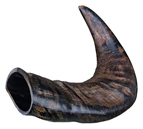 TX-27742 Buffalo Chewing Horn medium von TRIXIE