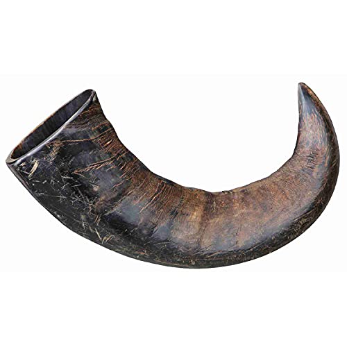 TX-27743 Buffalo Chewing Horn Large von TRIXIE