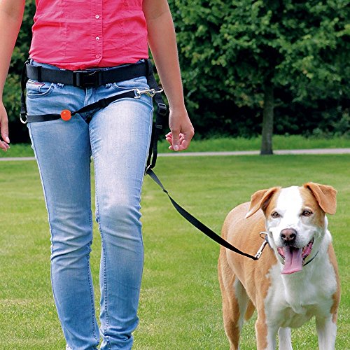 Trixie 12760 Lead'n'Walk Guide, Gurt: 85–110 cm/38 mm, Leine: bis 1,30 m/19 mm, schwarz von TRIXIE