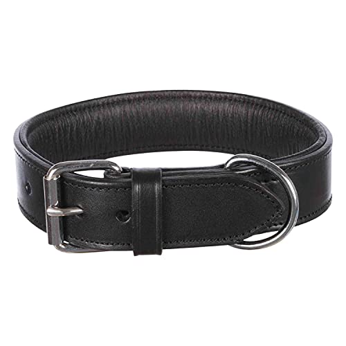 TRIXIE Active Halsband Leder Größe M: Halsumfang 38–47 cm/40 mm in schwarz - stilvolles Lederhalsband für mittelgroße Hunde, genäht und unterfüttert, 1847 von TRIXIE