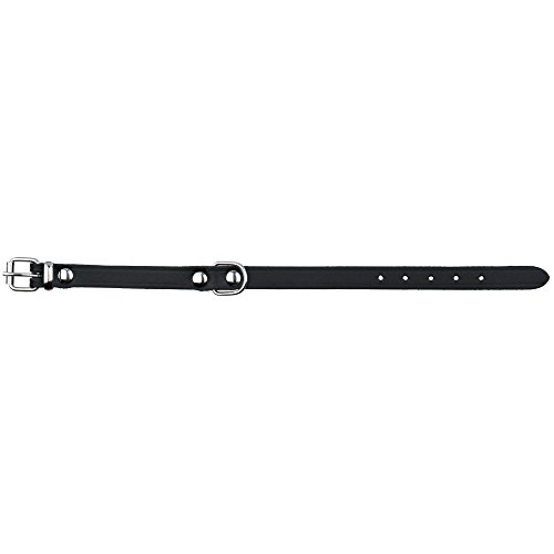 Trixie 19361 Basic Halsband, M–L: 39–48 cm/22 mm, schwarz von TRIXIE