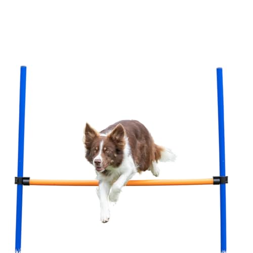 TRIXIE Hunde Agility Hürde – Agility-Ausrüstung für Hunde mit höhenverstellbarer Querstange, Trainingsausrüstung für Hunde ideal für Anfänger & Fortgeschrittene 123 x 115 cm - 3270 von TRIXIE