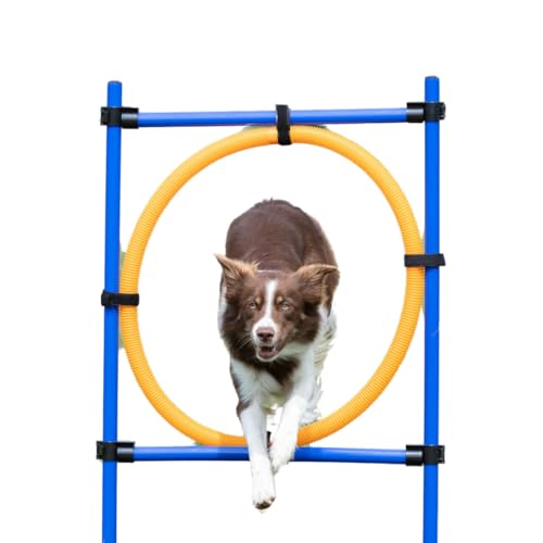 TRIXIE Hunde Agility Ring - Hundesprung mit höhenverstellbarem Reifen - Hunde Agility Ring, ideal für Anfänger & Fortgeschrittene - für Hunde-Hindernisparcours - 3208 von TRIXIE