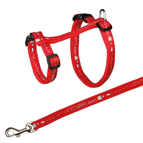 Trixie 41893 Katzengeschirr mit Leine, XL, Nylon, 34–57 cm/13 mm, 1,20 m von TRIXIE