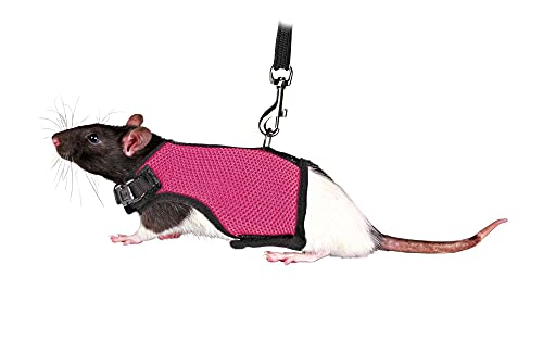 Trixie 61511 Softgeschirr mit Leine für Ratten, Nylon, 12–18 cm, 1,20 m, farblich sortiert von TRIXIE