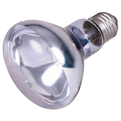 Trixie 76008 Neodymium Wärme-Spotlampe, ø 80 × 108 mm, 100 W von TRIXIE