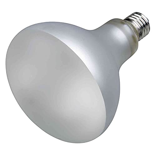 Trixie 76026 ProSun Mixed D3, UV~B Lampe, selbststartend, ø 115 × 285 mm, 160 W von TRIXIE