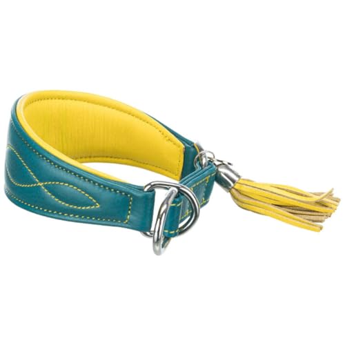 TRIXIE Active Komfort Windhunde Halsband Größe XS: Halsumfang 21-26 cm/40 mm in Petrol - extra breites Hundehalsband für sehr kleine Hunde, schützt den Kehlbereich, unterfüttert, 18965 von TRIXIE